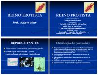 REINO PROTISTA.pdf