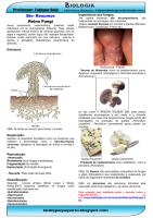 bio-resumos-fungi.pdf