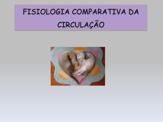 Fisiologia Comparativa da Circulação.pdf
