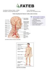 Pontos de pulsação do Sistema Cardiovascular.docx